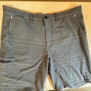 Flag & Anthem Gray/blue  Striped Shorts